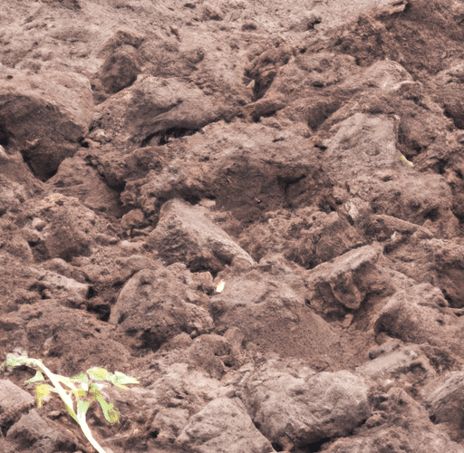 Jakie są zalety stosowania ziemi humusowej w ogrodnictwie?