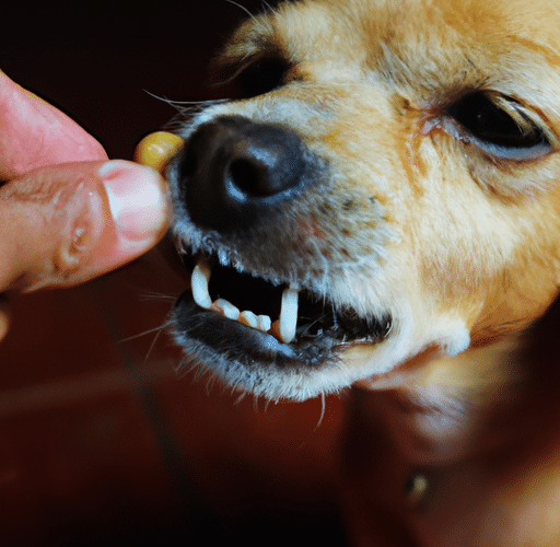 Czy Strzyżenie Psów Ząbki ma Znaczenie dla Zdrowia Zwierząt?