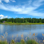 odszkodowanie za złamany nos